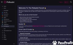 forum.polkadot.network Review