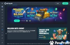 Bitsler Casino Review