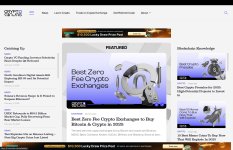 CryptoNinjas Review