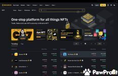 Binance NFT Review