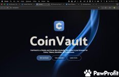 CoinVault Multi Wallet Review