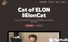 Cat of Elon Review