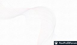 307d1d40c08dea2c4ddc1a59485209d6.jpg