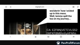 7151a810a0c381069f182ecf036580dd.jpg
