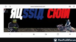 74903fb13ec205e61e9f9d619cbd1d79.jpg