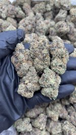 Vapes and Haze | Premium THC Vape Carts, Bulk Cannabis Flower & Wholesale Live Resin and Edibles