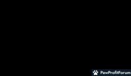 07f3e7ead534ef6a54c6d3bcdfaf1a3a.jpg